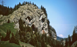 017 - ein adler beobachtet uns